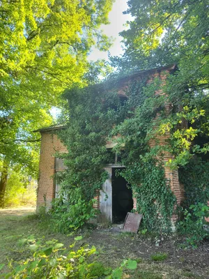 Chateau de Pierre de Bresse — photo 4
