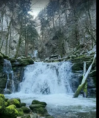 Le Lac Vert - D'Undervelier — photo 1