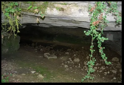 La Tour et La Grotte de Milandre - La Vouivre