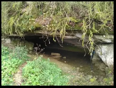La Tour et La Grotte de Milandre - La Vouivre — photo 2