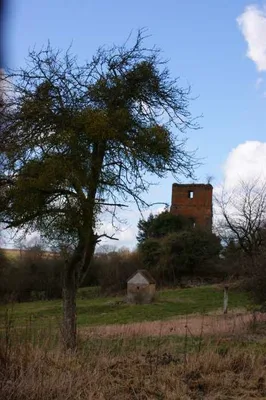 Ruines du château de la pierre Giffard