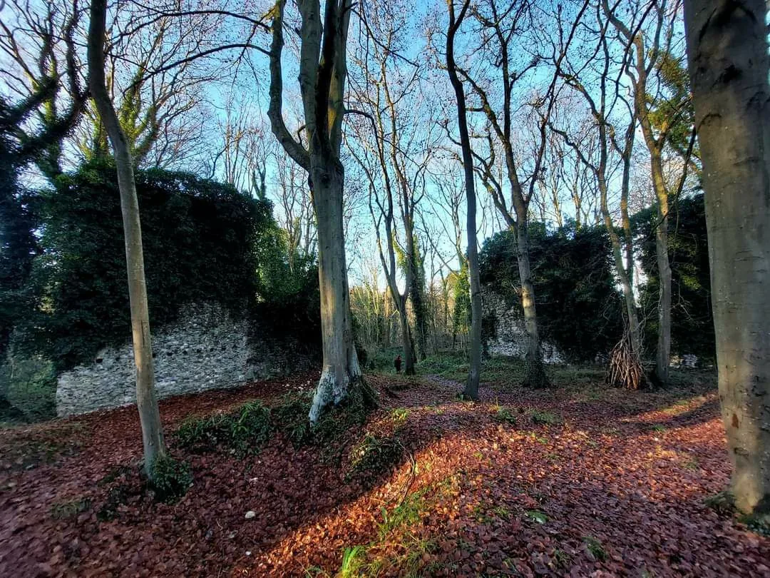 Château de bernouville