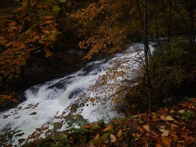 Source de la loue
