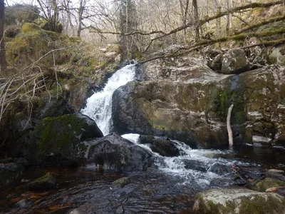 Gorges de la Canche — photo 2