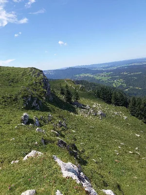 Le suchet — photo 3