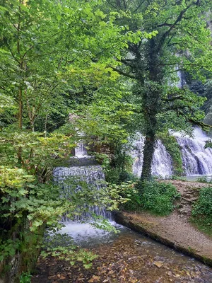 Source du Lison — photo 4