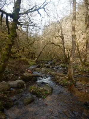 Gorges de la Canche — photo 3