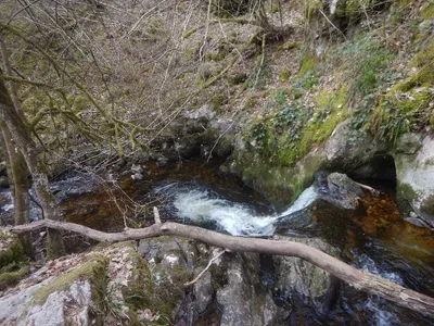 Gorges de la Canche — photo 4