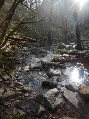 Gorges de la Canche — photo 5