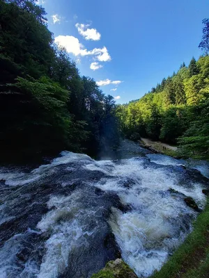 Source du Lison — photo 6