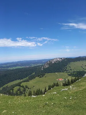 Le suchet — photo 5