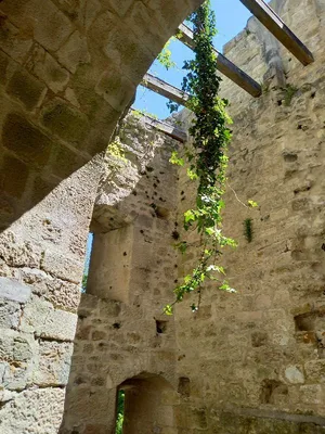 Le castel Saint-Denis — photo 5