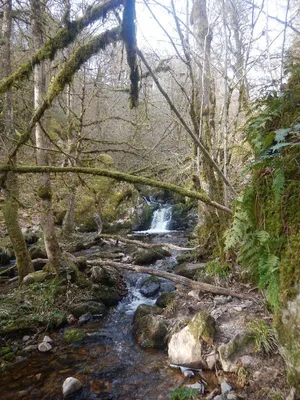 Gorges de la Canche — photo 6