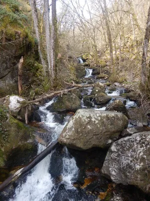 Gorges de la Canche — photo 7