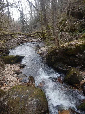 Gorges de la Canche — photo 9