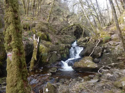 Gorges de la Canche — photo 10