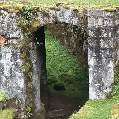 Source de la loue — photo 4