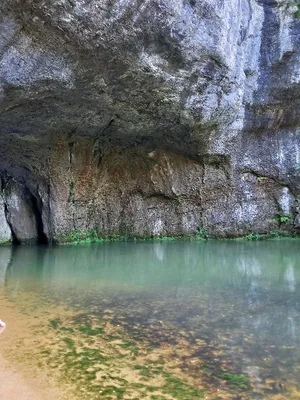 Source du Lison — photo 9