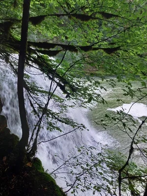 Source du Lison — photo 10