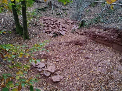 Finding place of the pareasaur footprint of Pachypes dolomiticus