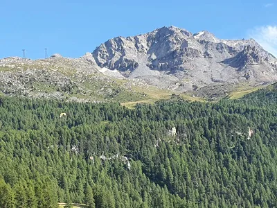 Silvaplana — photo 4