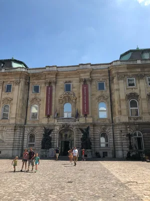 Buda Castle — photo 3