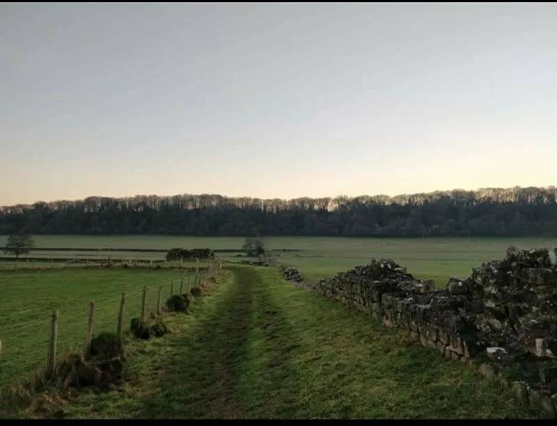 Roman ruins at Caerwent