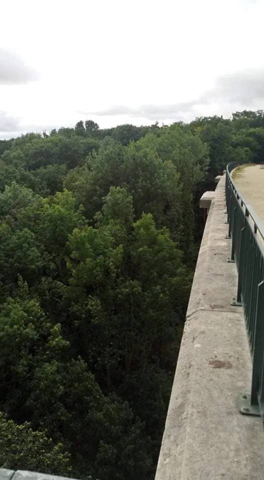 Viaduc des Fauvettes