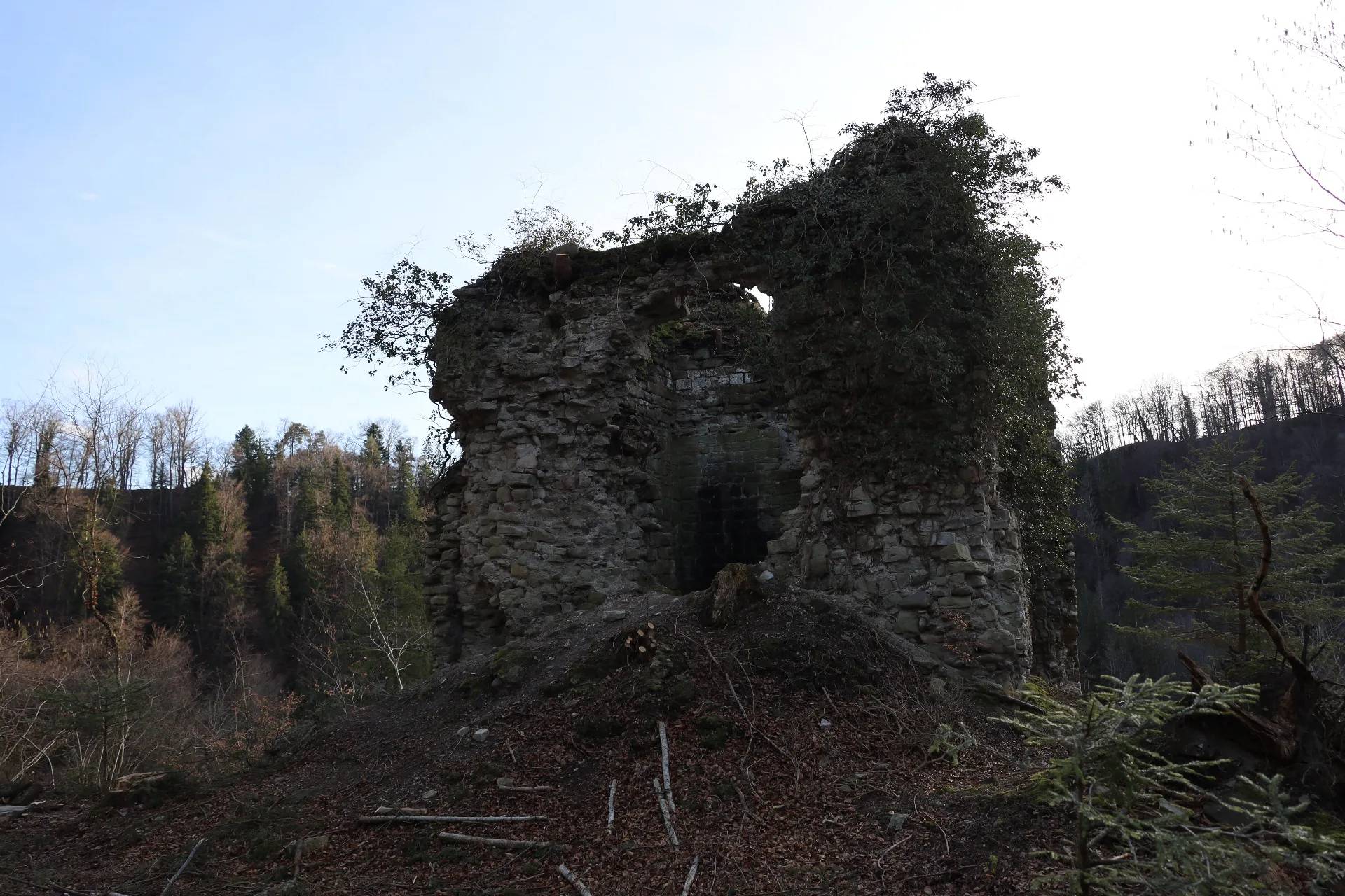 Ruine du château d'Arconciel (Ergenzach)