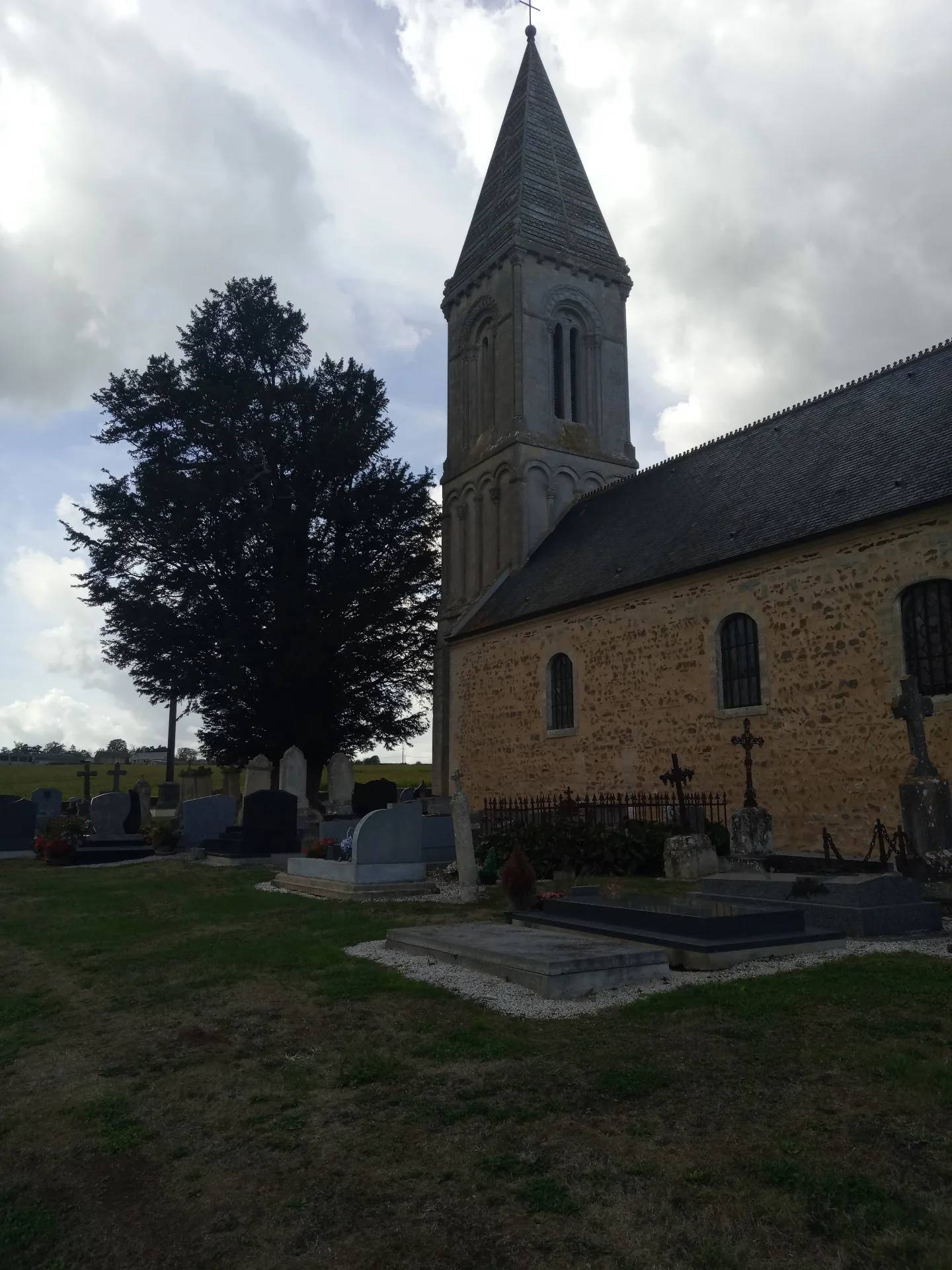 Eglise Saint Marcouf et son if