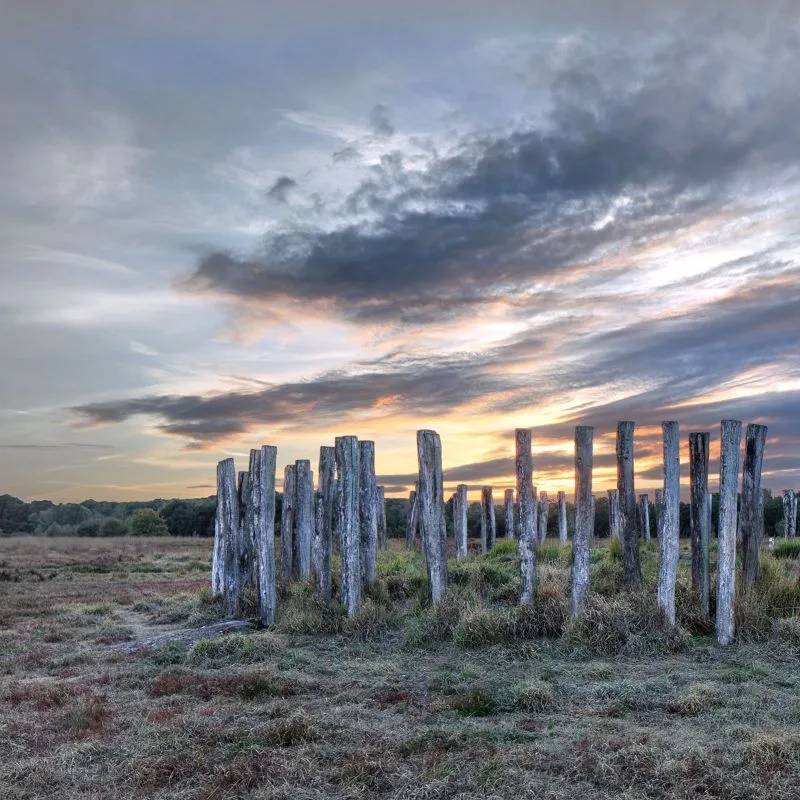 Regte Heide