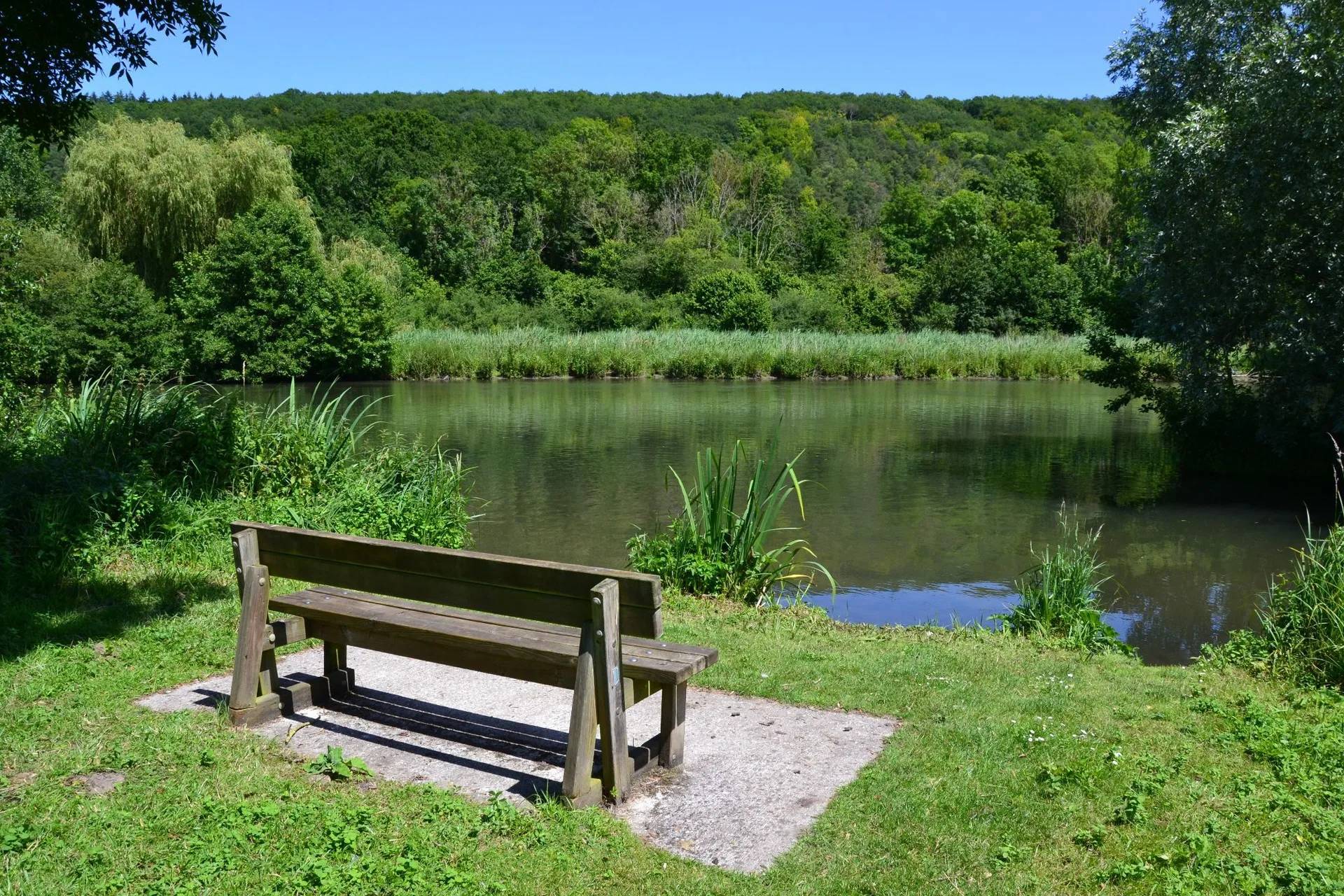 Lac d'Acquigny