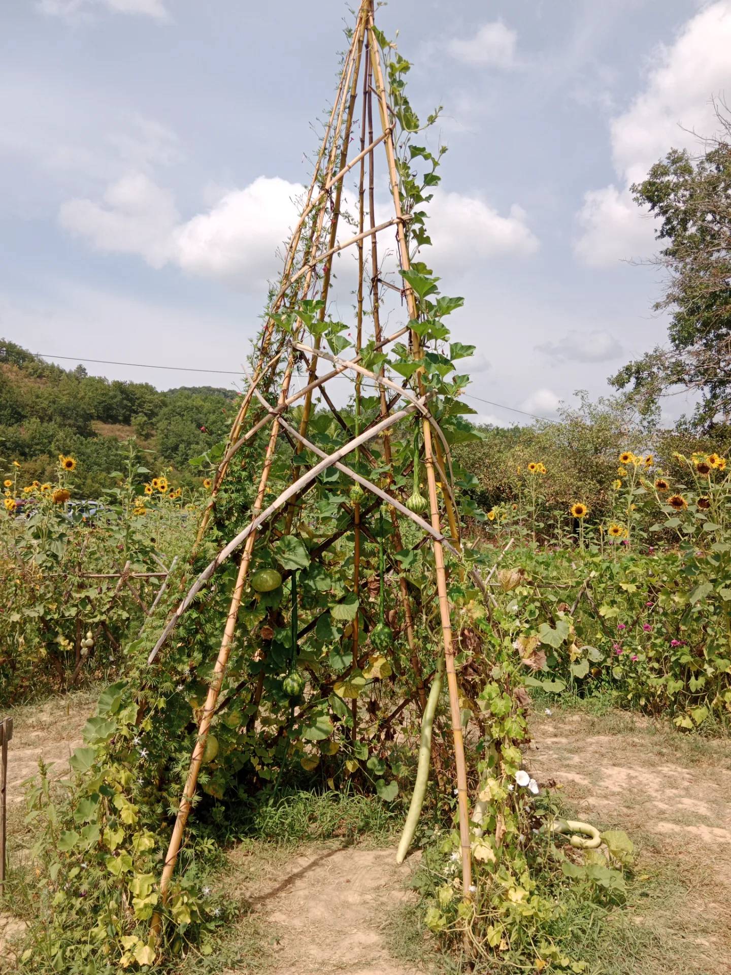 Le Jardin Extraordinaire de Lieurac
