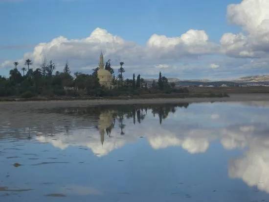 Lac salé de Larnaca