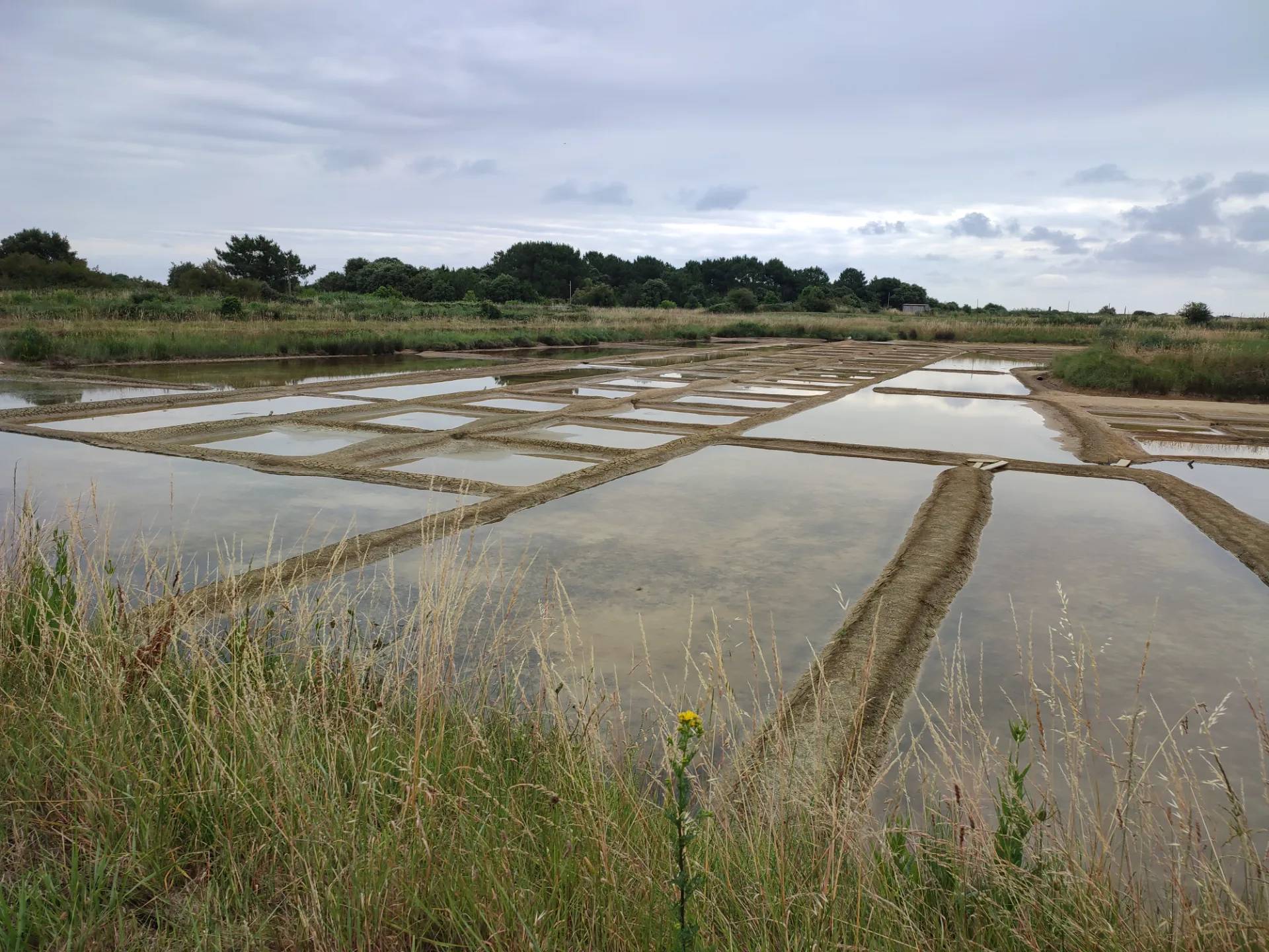 Port des Salines & Marais Saunant