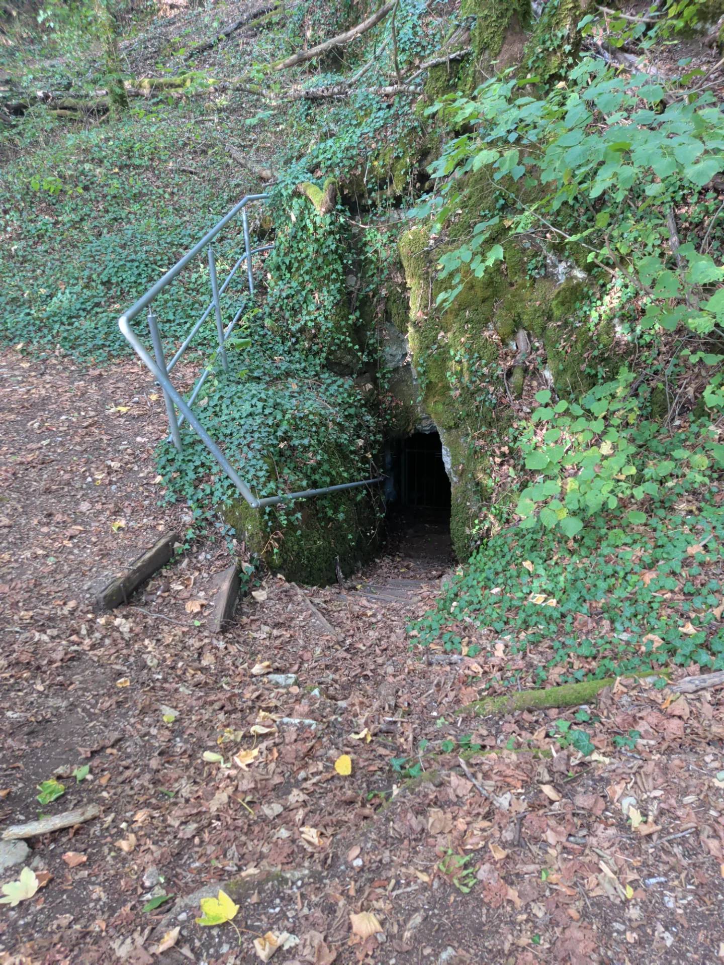 Grotte du Wolfloch