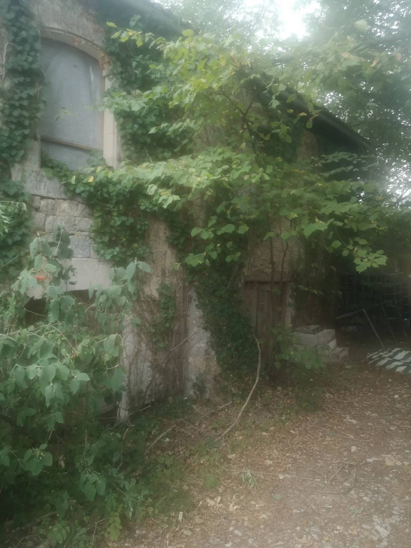 Une vieille grange ou le pigeonnier de Janis