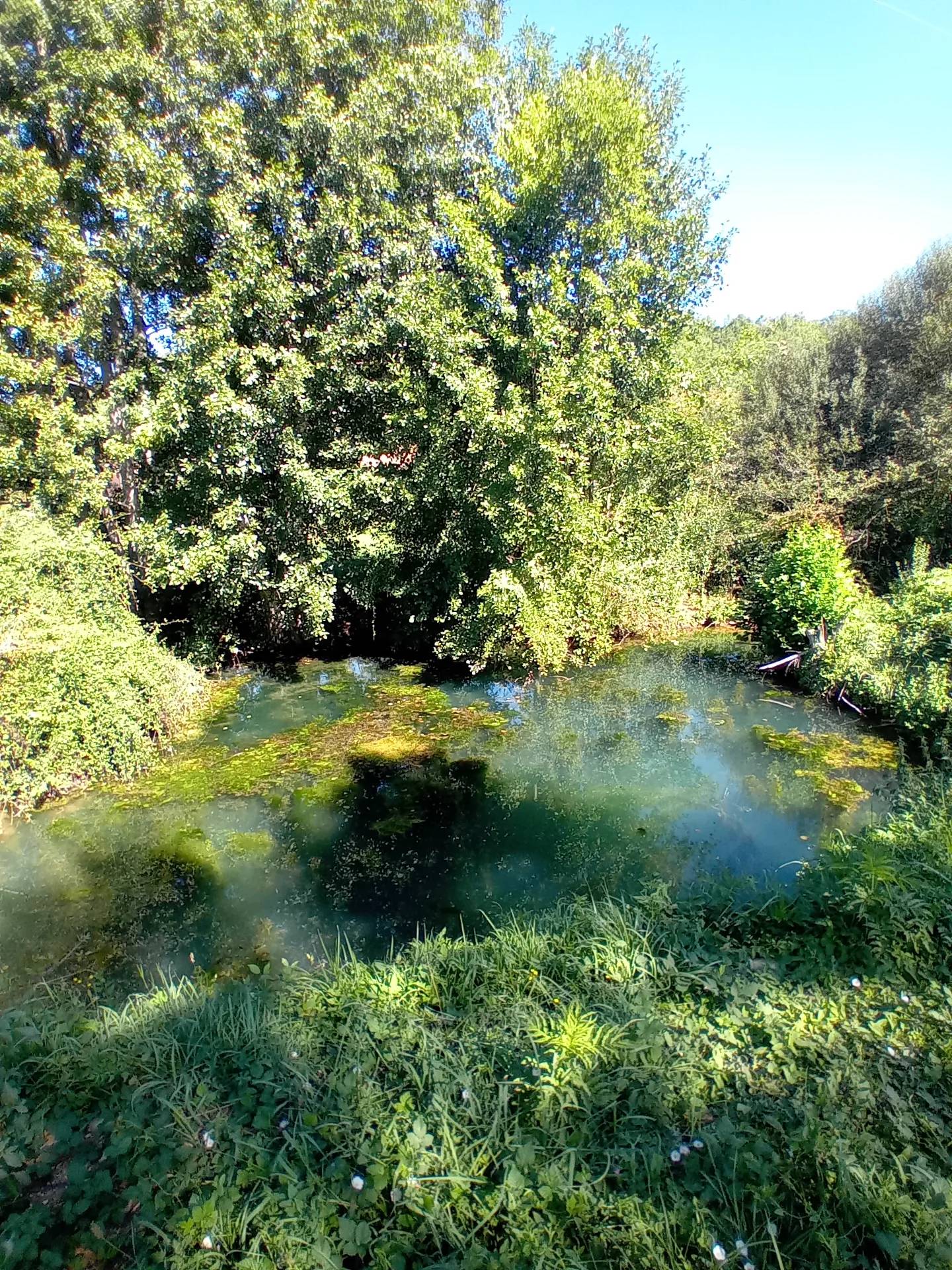 Zone humide et Lavoir de Nabirat