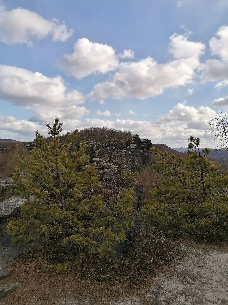 Tyssaer Walls
