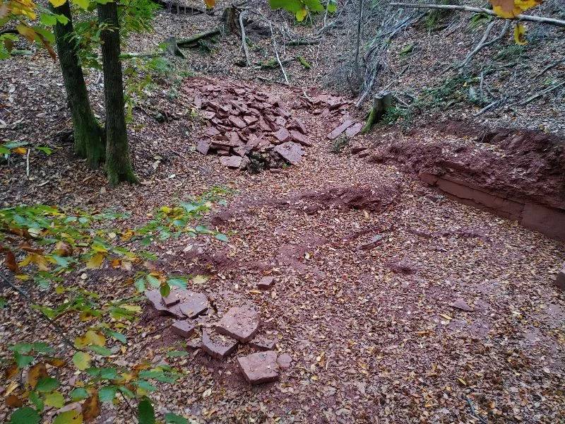 Finding place of the pareasaur footprint of Pachypes dolomiticus