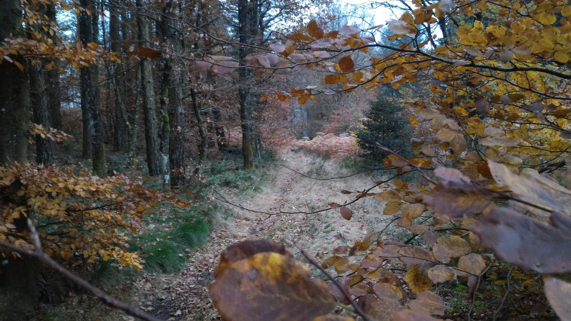 Dolmen du plo de laganthe