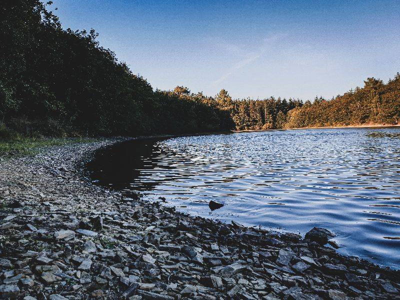 Lac de Vioreau