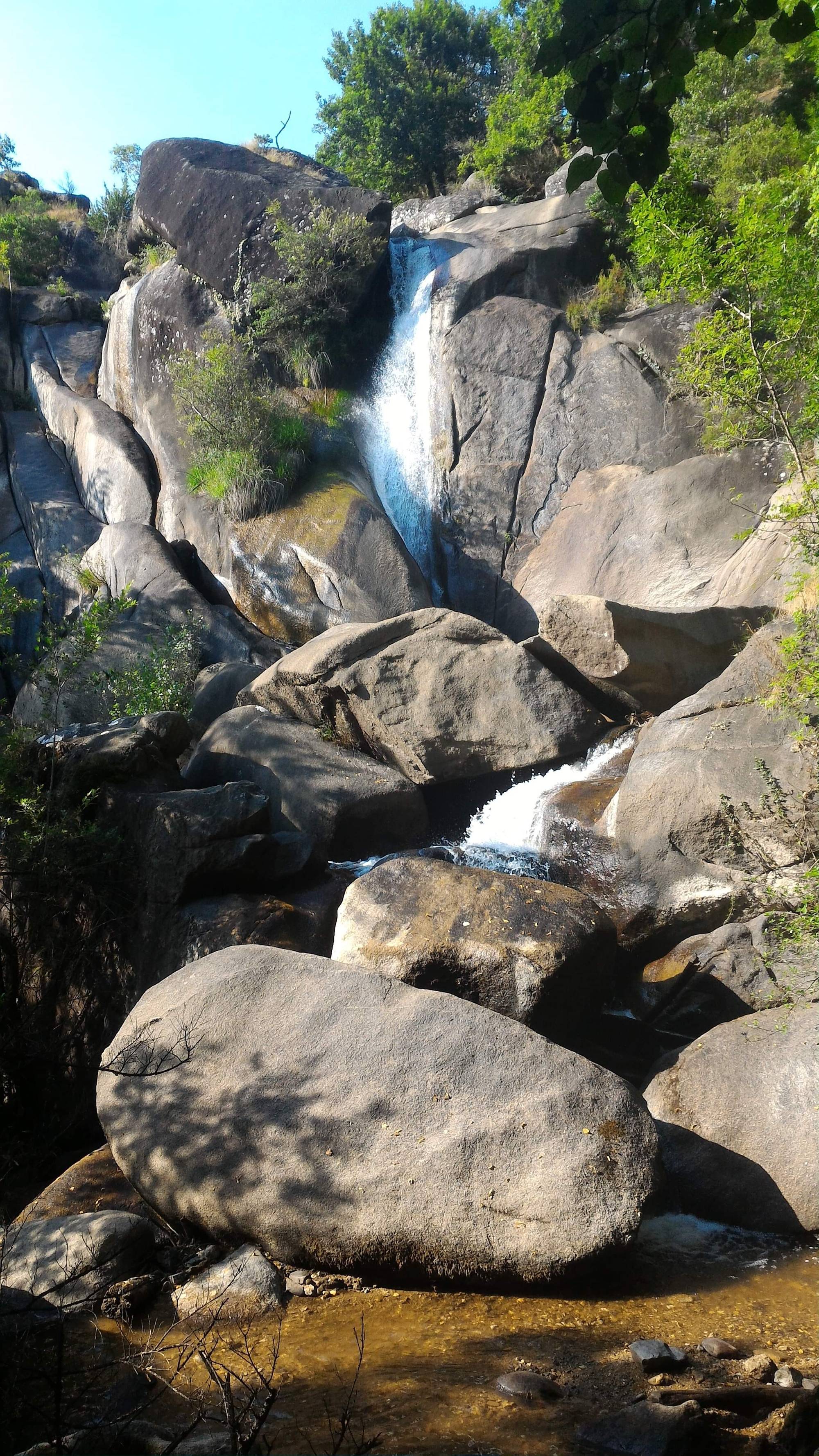 Le saut de la truite