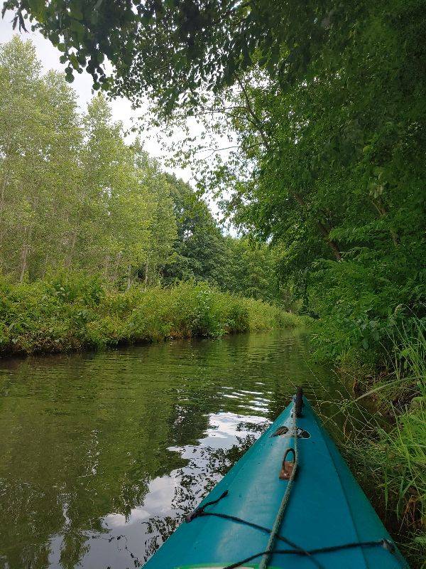 Spreewald