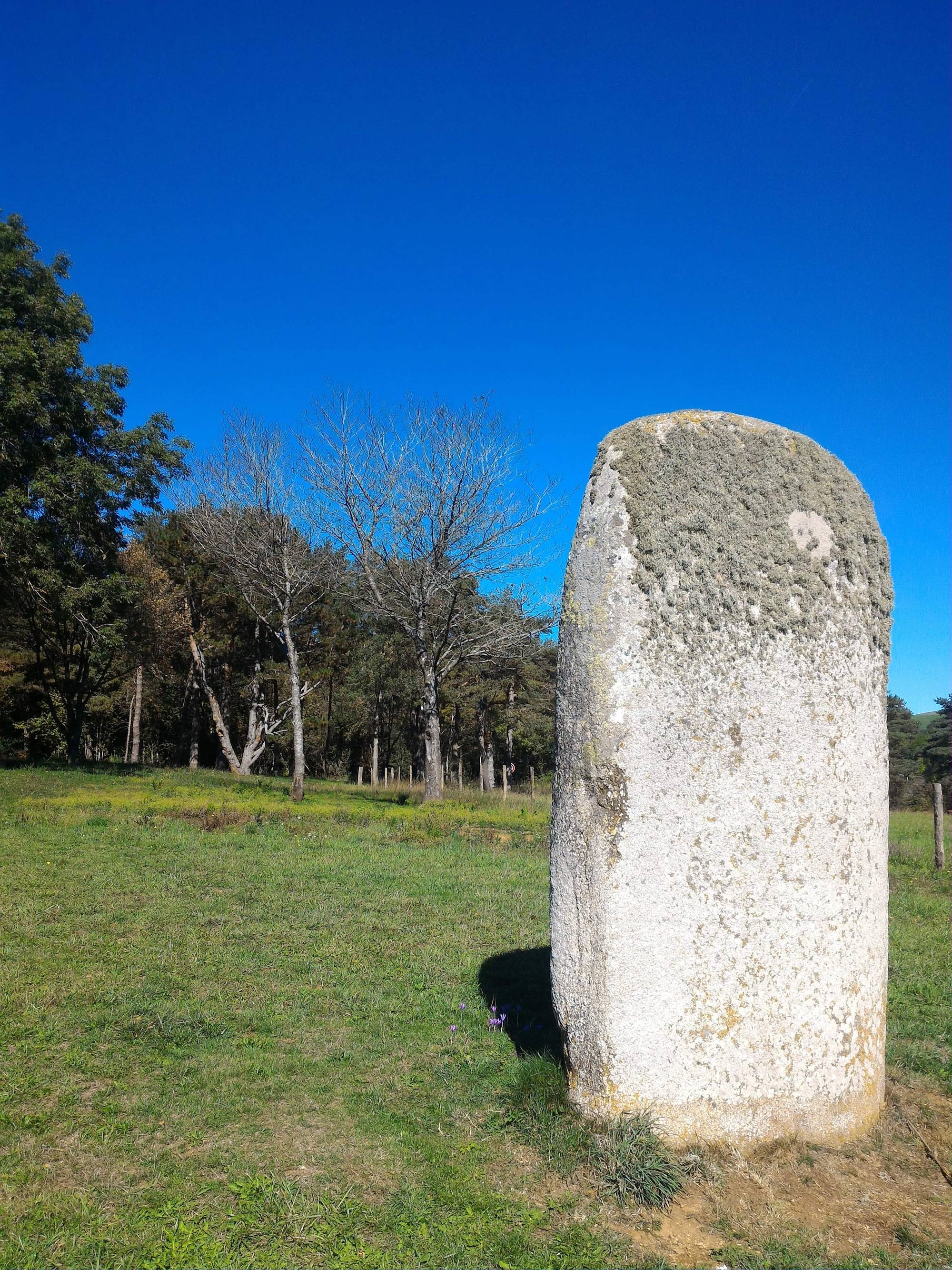 Le grand menhir de Lacaune (peyro lebado, pierre levée en occitan)