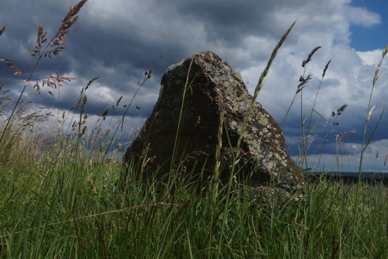 Menhir Mehlingen