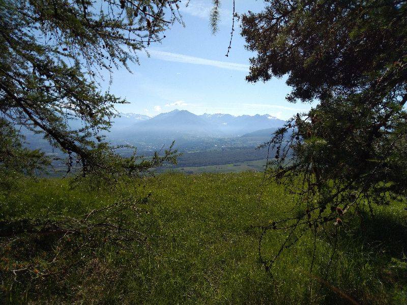 La cabane aux corneilles