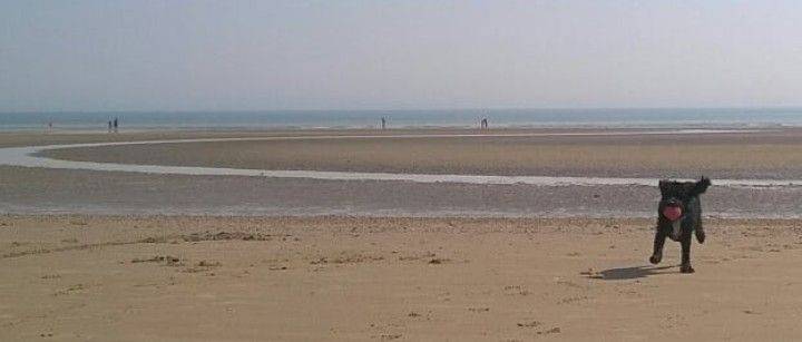 Camber Sands Beach