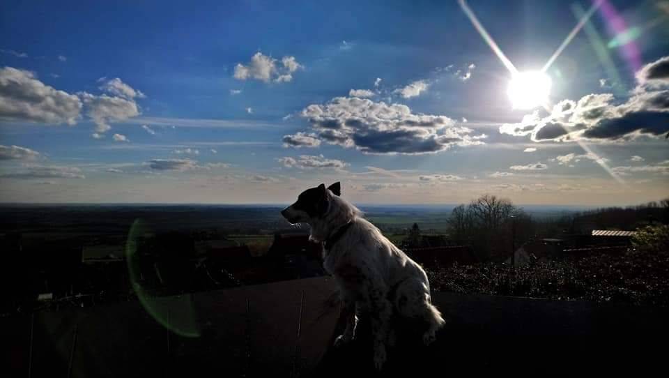 Le Mont Cassel