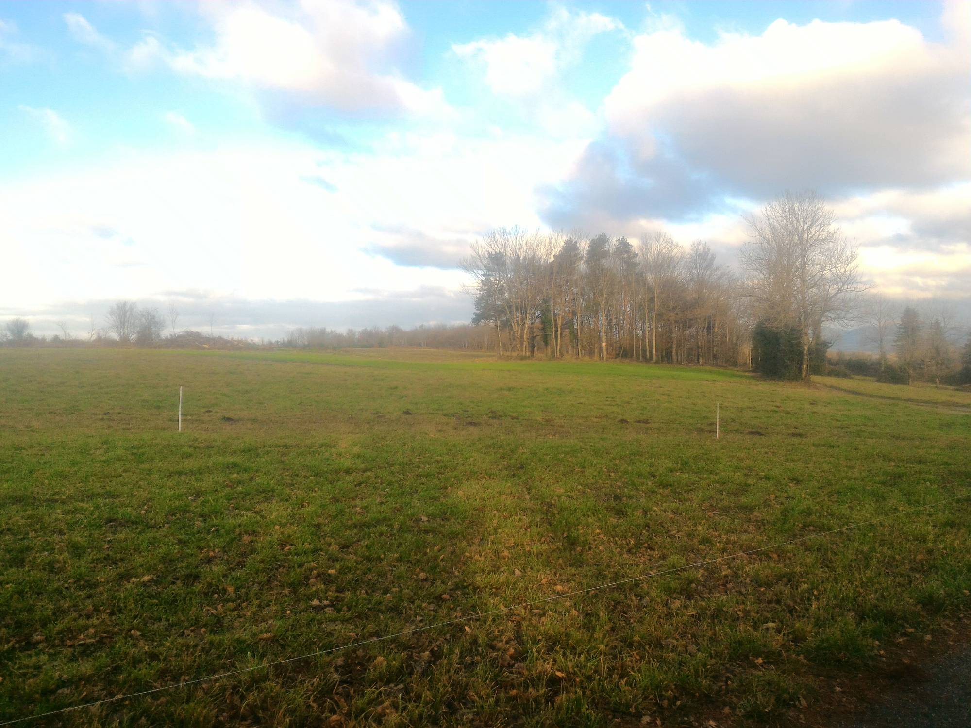 La pierre plantée